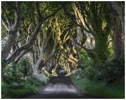 United Kingdom